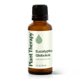 Huile Plant Therapy Eucalyptus Globulus, bouteille 30 ml, parfum vivifiant pour diffusion.