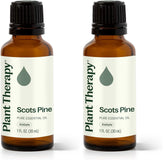Plant Therapy Pin Sylvestre 30 ml, bouteille prête à l’utilisation et respiration facilitée