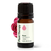 Rose Absolute Plant Therapy, bouteille 5 mL, parfum apaisant et pur.