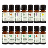 Plant Therapy Lavande : diffusion relaxante et huile essentielle pure.
