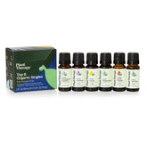 Plant Therapy Top 6 Lavande – flacon pour diffusion apaisante et ambiance calme