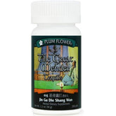 Pilules Plum Flower Grand Guérisseur dans une bouteille, soutien potentiel à la récupération après blessure