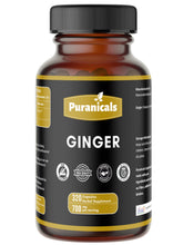 Puranicals gingembre premium - bouteille pratique pour votre routine quotidienne