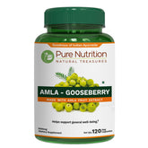 Pure Nutrition Natural Treasures Amla Extrait, bouteille visible, soutien quotidien.