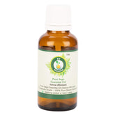 Huile sauge R V Essential — bouteille 10 ml prête à diffuser pour un arôme naturel