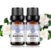 Huile Gardenia Rainbow Abby en flacon, parfum florale délicat prêt pour diffusion
