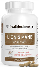 Real Mushrooms Champsignon Crête-de-Lion pour concentration et clarté mentale