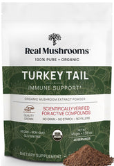 Real Mushrooms Poudre Tramète Bio pour le bien-être quotidien.