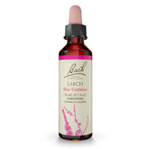 Bach Remedes Larch: bouteille avec pipette pour renforcer la confiance au quotidien.