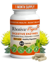 Rhoziva Digest : bouteille de capsules prête à intégrer votre routine quotidienne.
