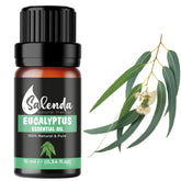 Salenda huile eucalyptus en bouteille prête à diffuser une fragrance fraîche.