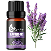 Salenda Huile Lavande — Bouteille, diffusion douce pour ambiance apaisante.