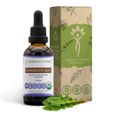 Secrets of the Tribe bouteille avec feuille dandelion bio séchée pour dosage naturel et pratique