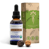 Secrets of the Tribe – bouteille sans alcool de noix noire biologique, dosage pratique