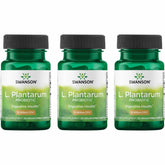 Swanson L. Plantarum bouteille – probiotiques faciles à prendre pour l'équilibre intestinal.