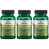 Swanson Lactobacillus Gasseri – bouteille de 60 capsules végétales, soutien digestif potentiel.