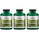 Swanson Turmeric – bouteille de capsules, soutien possible des articulations.