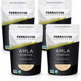Terrasoul Amla Poudre dans un bocal, idéale pour smoothies riches en vitamine C