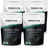 Terrasoul Spiruline en poudre, pack sachets refermables, idéal pour smoothies protéinés.