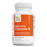 Terry Naturally BioActive Vitamine B — bouteille, soutiens énergétiques potentiels et routine quotidienne