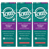 Tom's of Maine Whole Care tube cannelle et girofle pour fraîcheur et protection buccale.