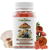 Wellcatcher Mushroom Gummies : ingrédients riches pour le bien-être quotidien.
