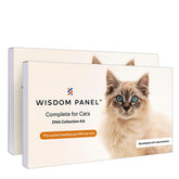 Wisdom Panel Complete : boîte du kit test ADN pour chat, pratique et prête.