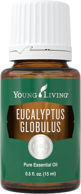Young Living Eucalyptus Globulus — bouteille prête pour l’aromathérapie et rafraîchissement.