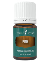 Young Living Pine 5ml: bouteille prête à diffuser un arôme frais.