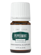 Young Living Menthe Poivrée, bouteille 5 ml, arôme frais pour diffusion