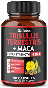 Zolotus Premium Tribulus Ashwagandha, capsules dans une bouteille, soutien potentiel d'énergie et concentration.