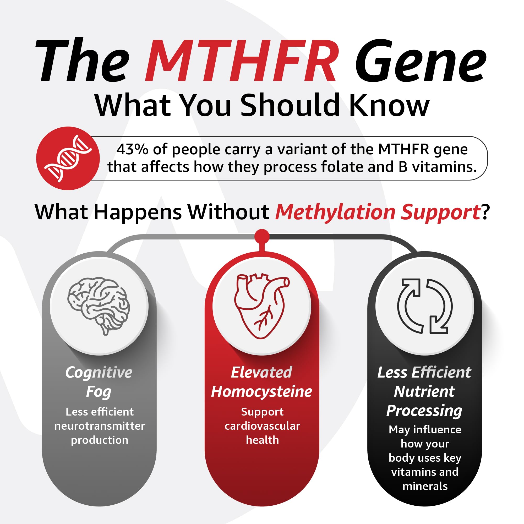 10X Health System Optimize pour homme : 5-MTHF (L-méthylfolate).