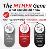 10X Health System Optimize pour homme : 5-MTHF (L-méthylfolate).