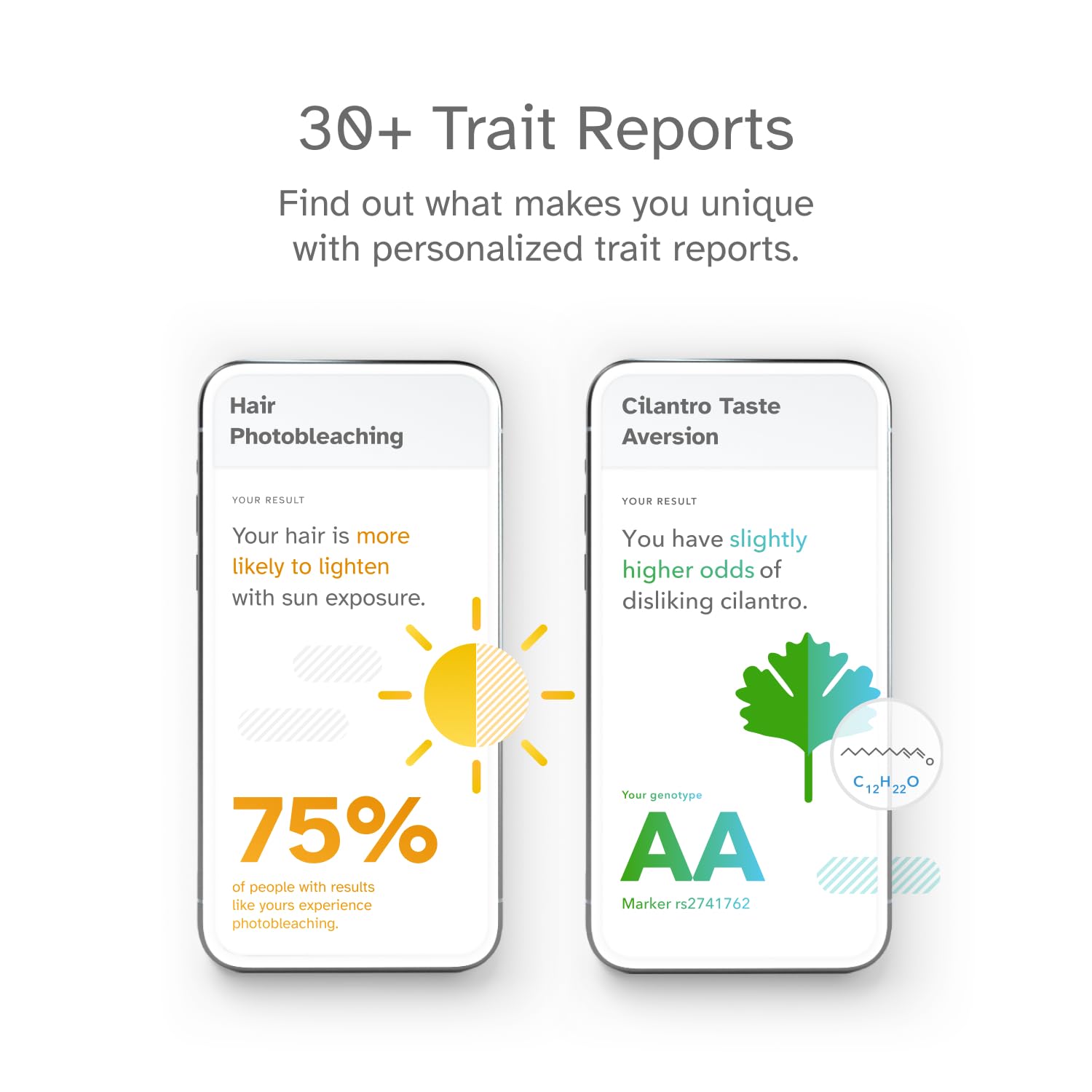Arbre familial automatique de 23andMe révélant les liens généalogiques.