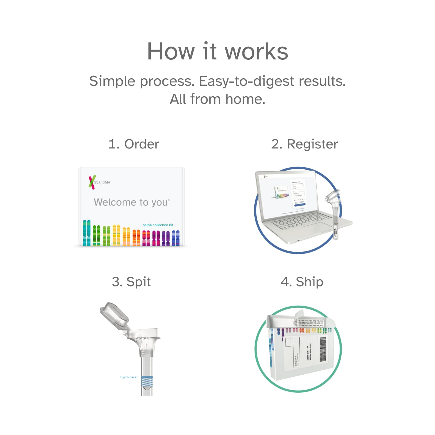 Collection de salive simple à réaliser chez soi avec 23andMe.