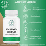 2nd Springs Adaptogen Complex – gélules solides offrant une énergie stable sans pic.