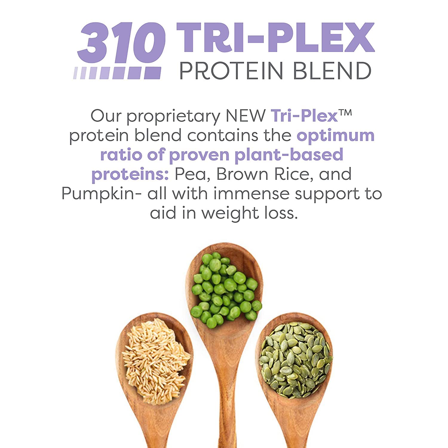 Fibres et probiotiques 310 Nutrition soutiennent digestion et équilibre quotidien.