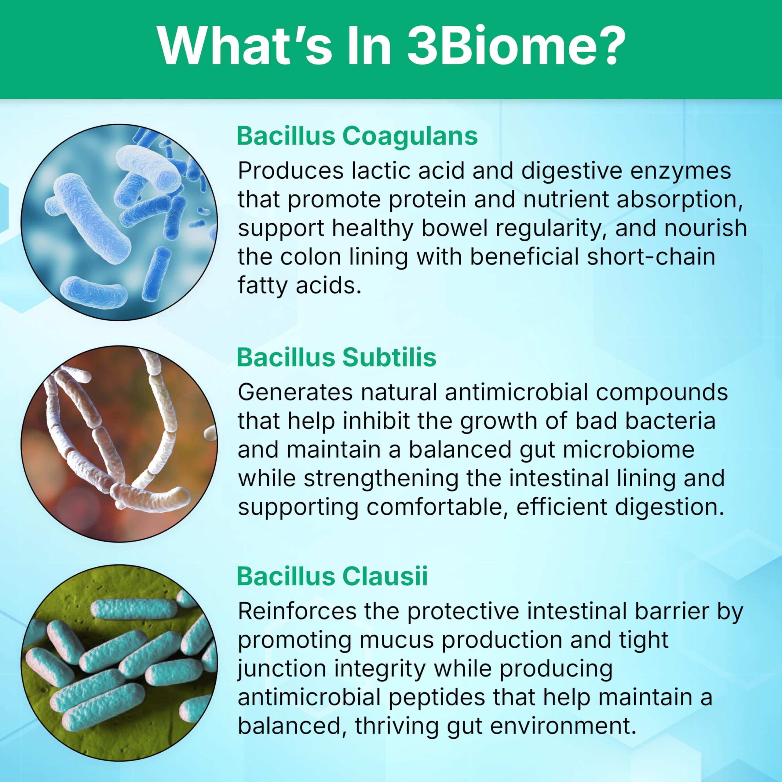 3Biome - spores-formes : activation ciblée dans le côlon