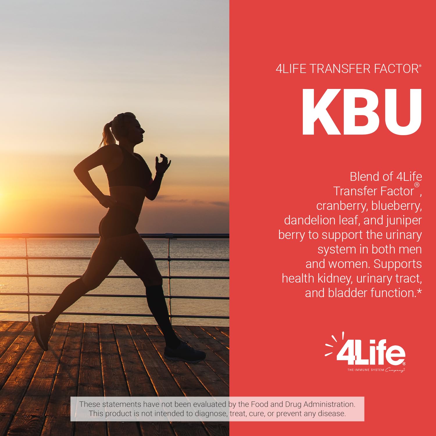4Life KBU: pissenlit et genièvre pour l'appui rénal potentiel.
