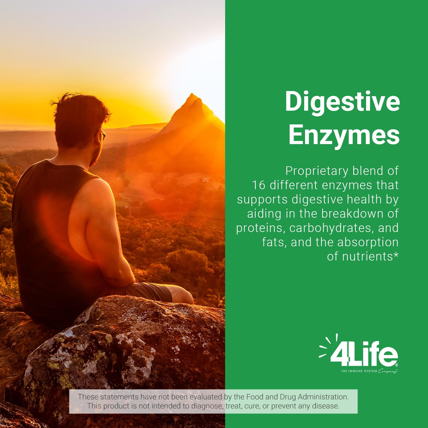 4Life Digestive Enzymes: attention portée à la santé intestinale et à la digestion