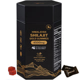 Gommes Shilajit Himalaya de 5Loaf2Fish en boîte, pratique pour l'énergie quotidienne.
