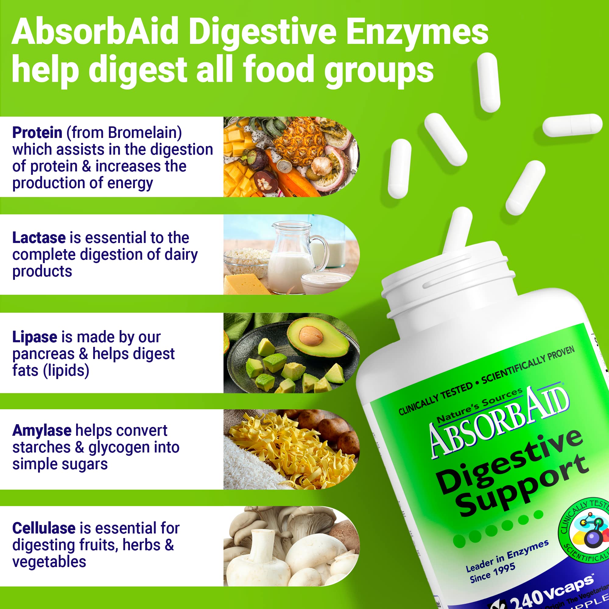 Absorbaid: capsules après repas, potentiel soutien à la digestion lors de repas lourds.
