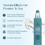 Ocean Soothe Lotion Abundant Natural Health, extrait de concombre, fraîcheur apaisante et hydratation rapide