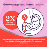 Schéma montrant la gélule Active Iron et l’impact potentiel sur l’absorption du fer