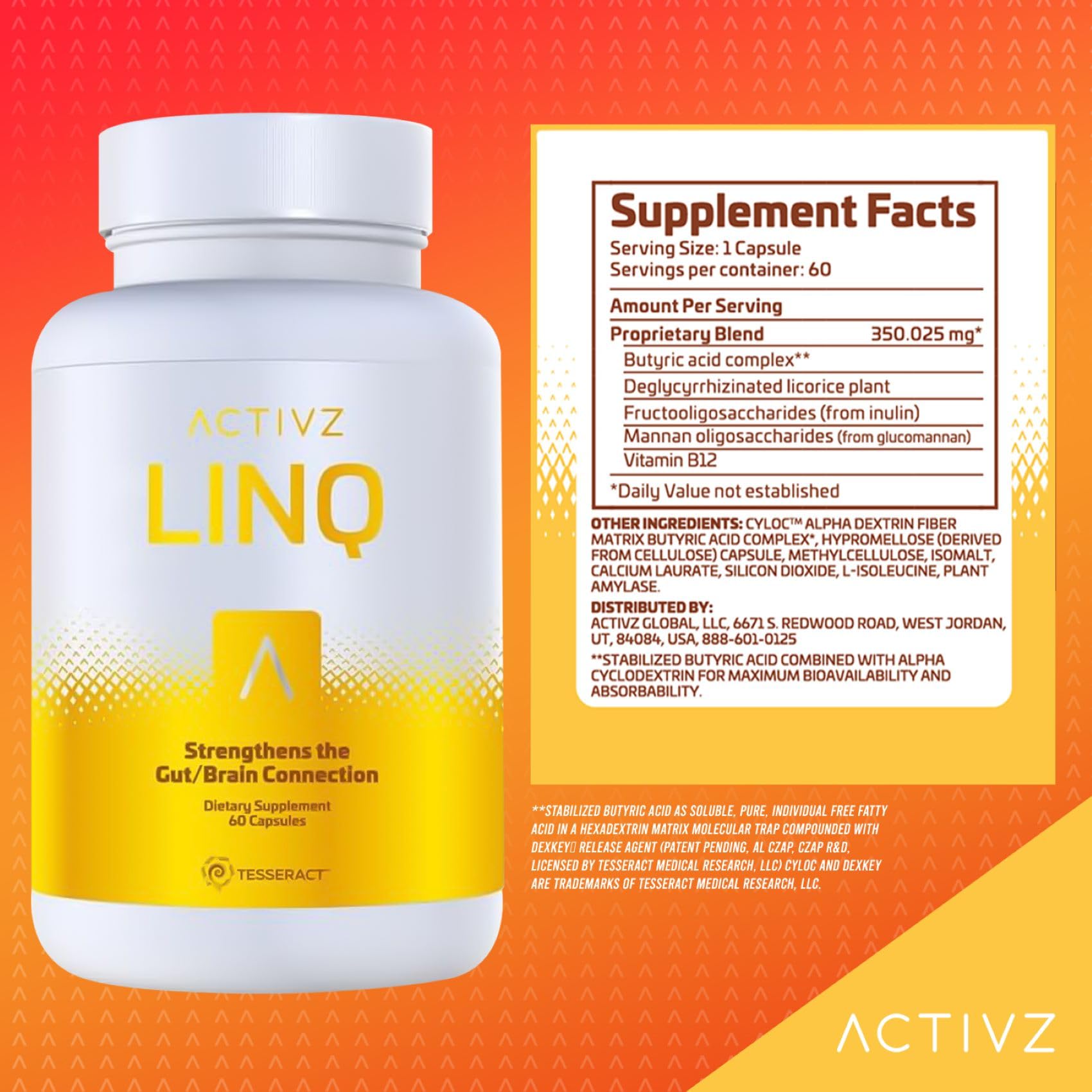 ACTIVZ LINQ gélules près du cerveau, soutien potentiel de la fonction cognitive.