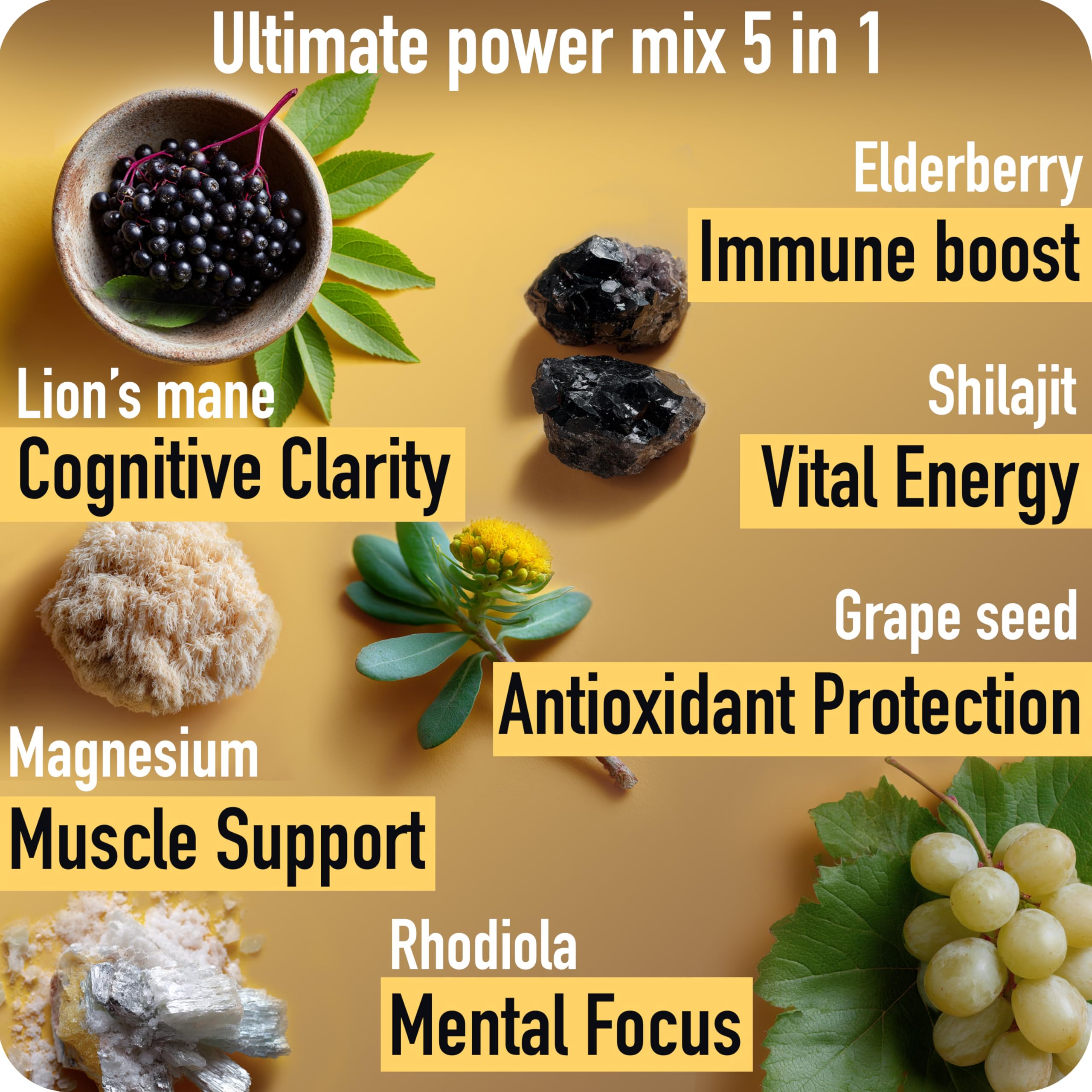 Ad hoc Shilajit Gommes gommes visibles pour énergie et concentration