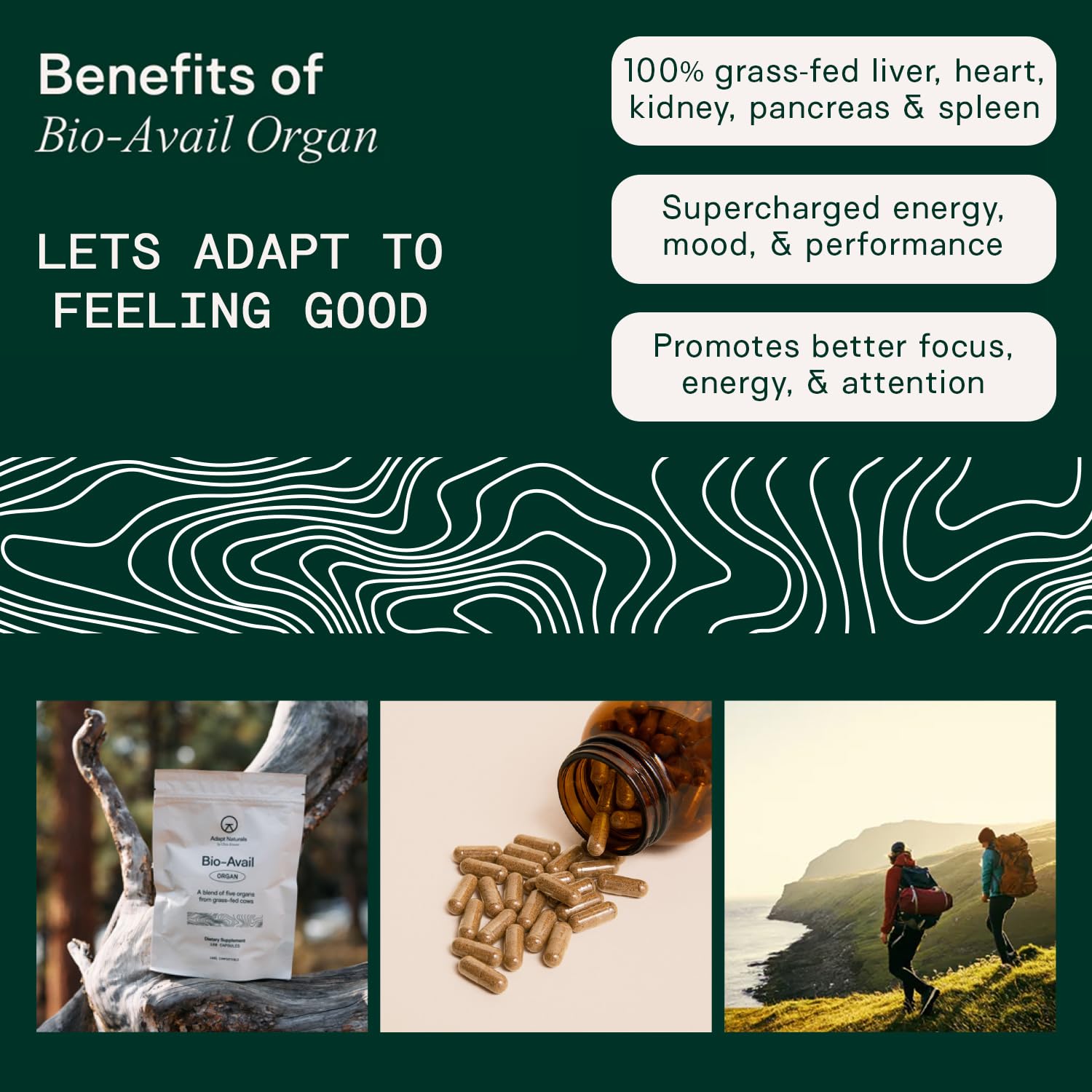 Adapt Naturals: ingrédients d'organes premium et nutriments essentiels