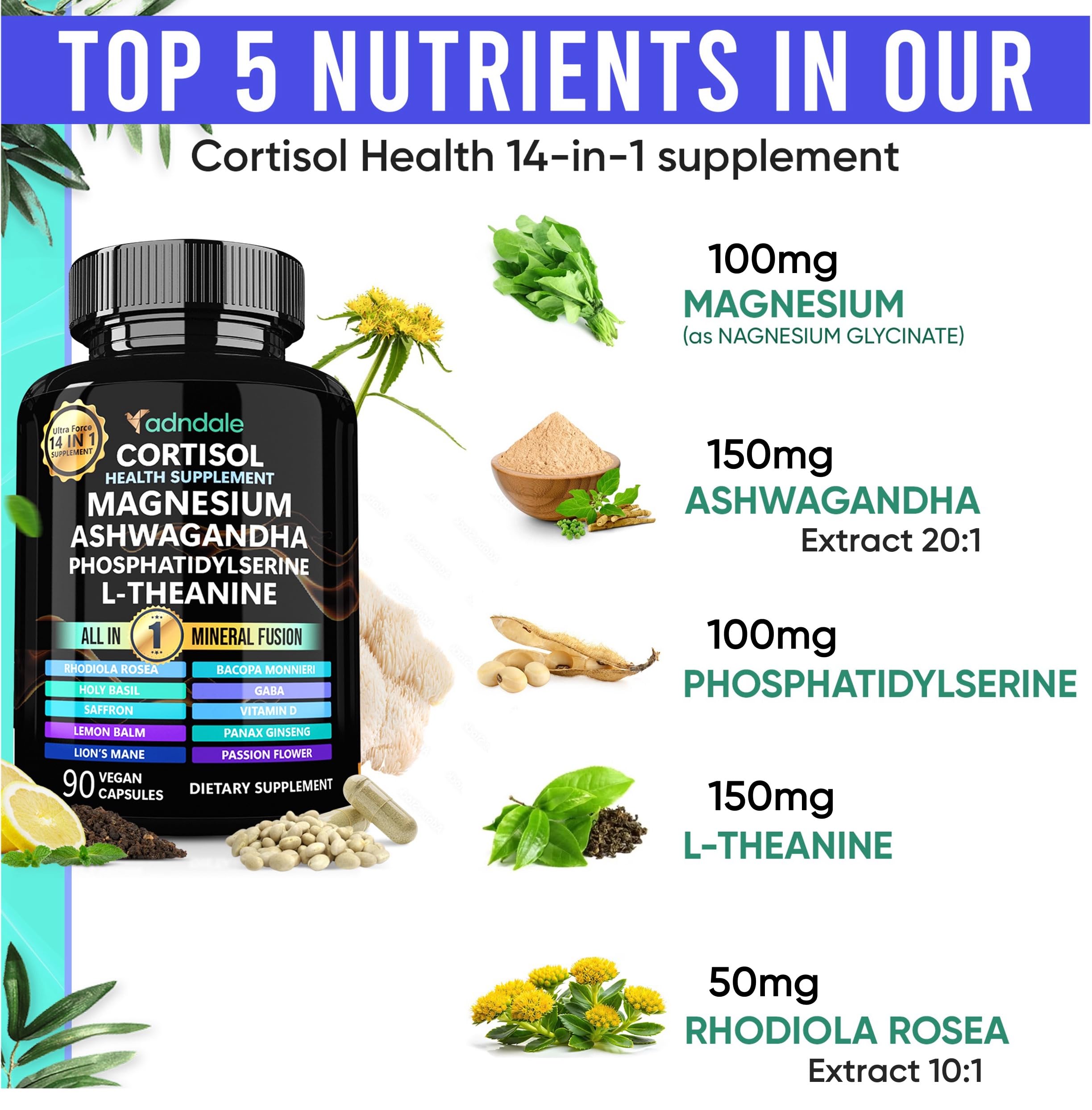 Adndale Ashwagandha, capsules faciles à avaler, soutien calme et concentration.
