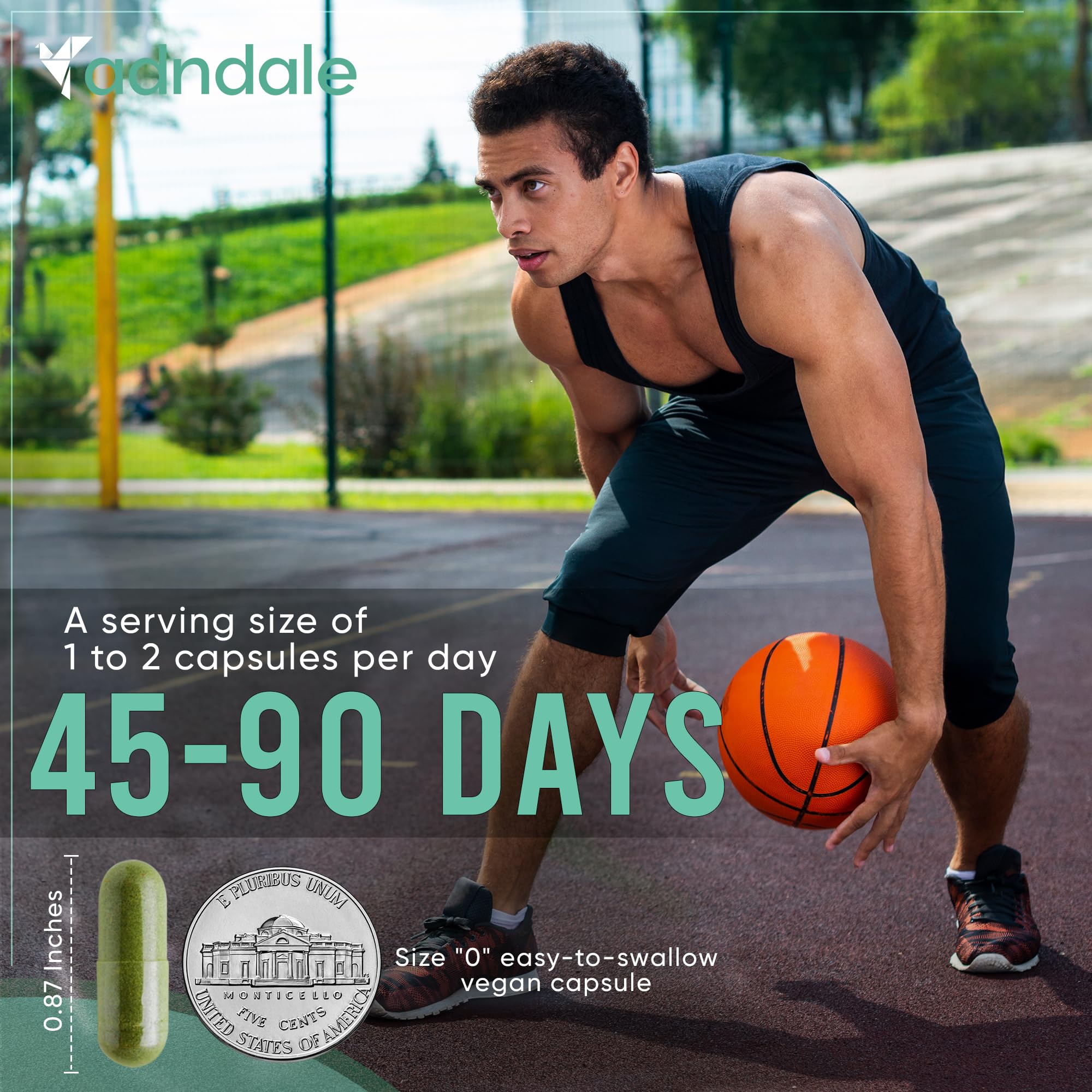Capsules Adndale racine de bardane : soutien digestion et détox naturelle.