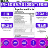 Adndale vegan sans gelatine: capsules compatibles avec les choix éthiques.